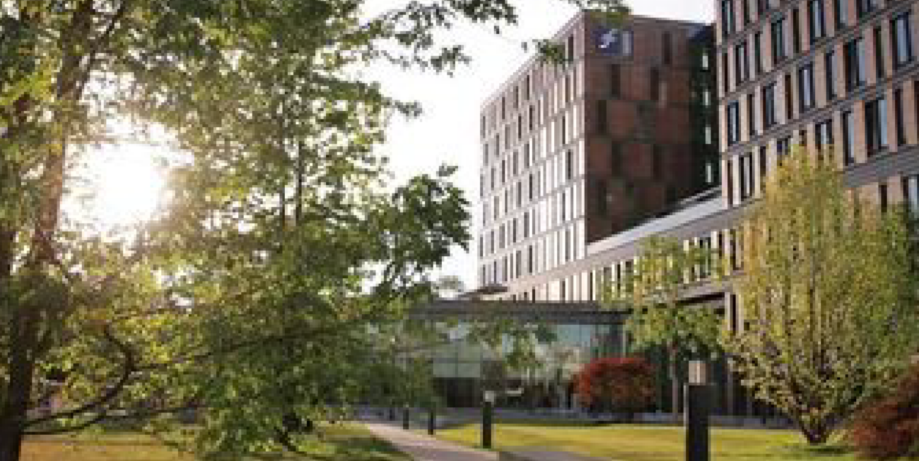 Damit entsteht das größte Ökosystem für Start-ups und Sustainable Entrepreneurship in der Frankfurt Rhein Main Region