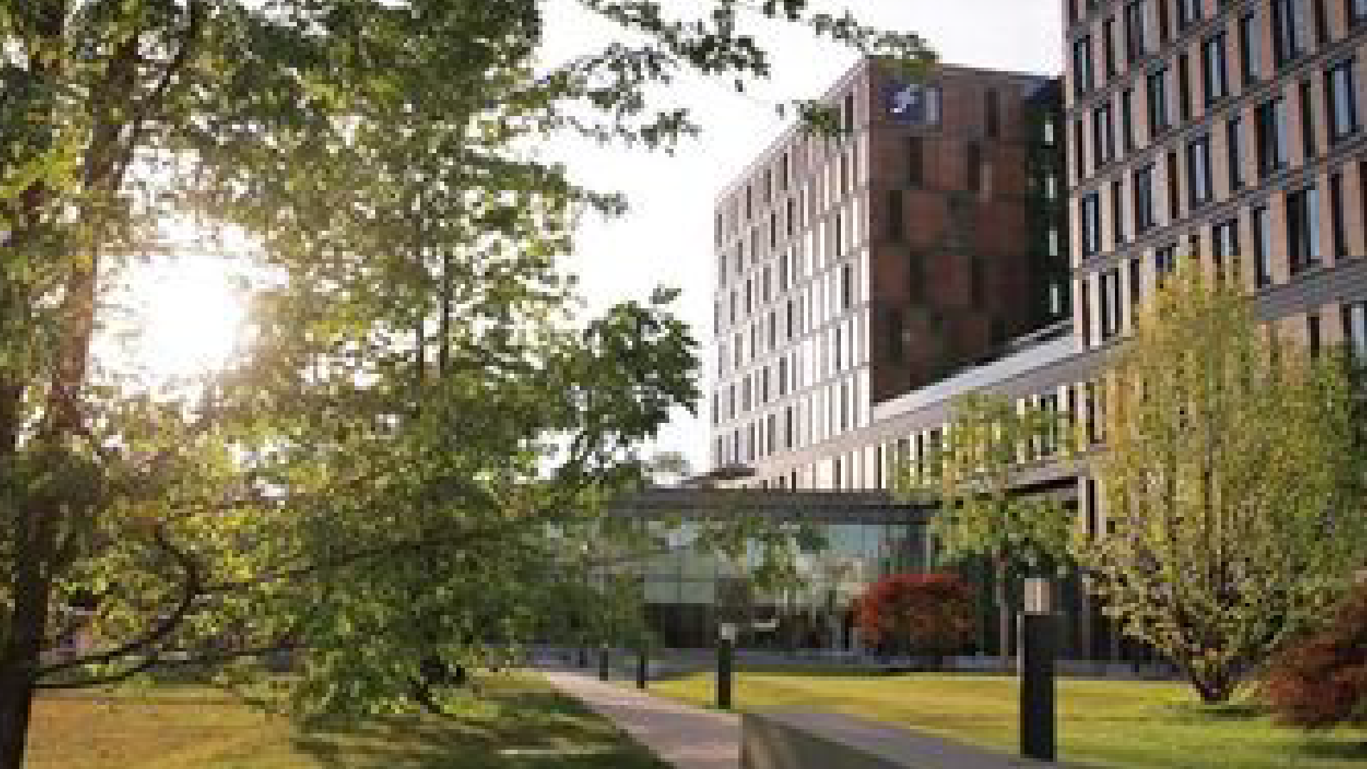 Damit entsteht das größte Ökosystem für Start-ups und Sustainable Entrepreneurship in der Frankfurt Rhein Main Region